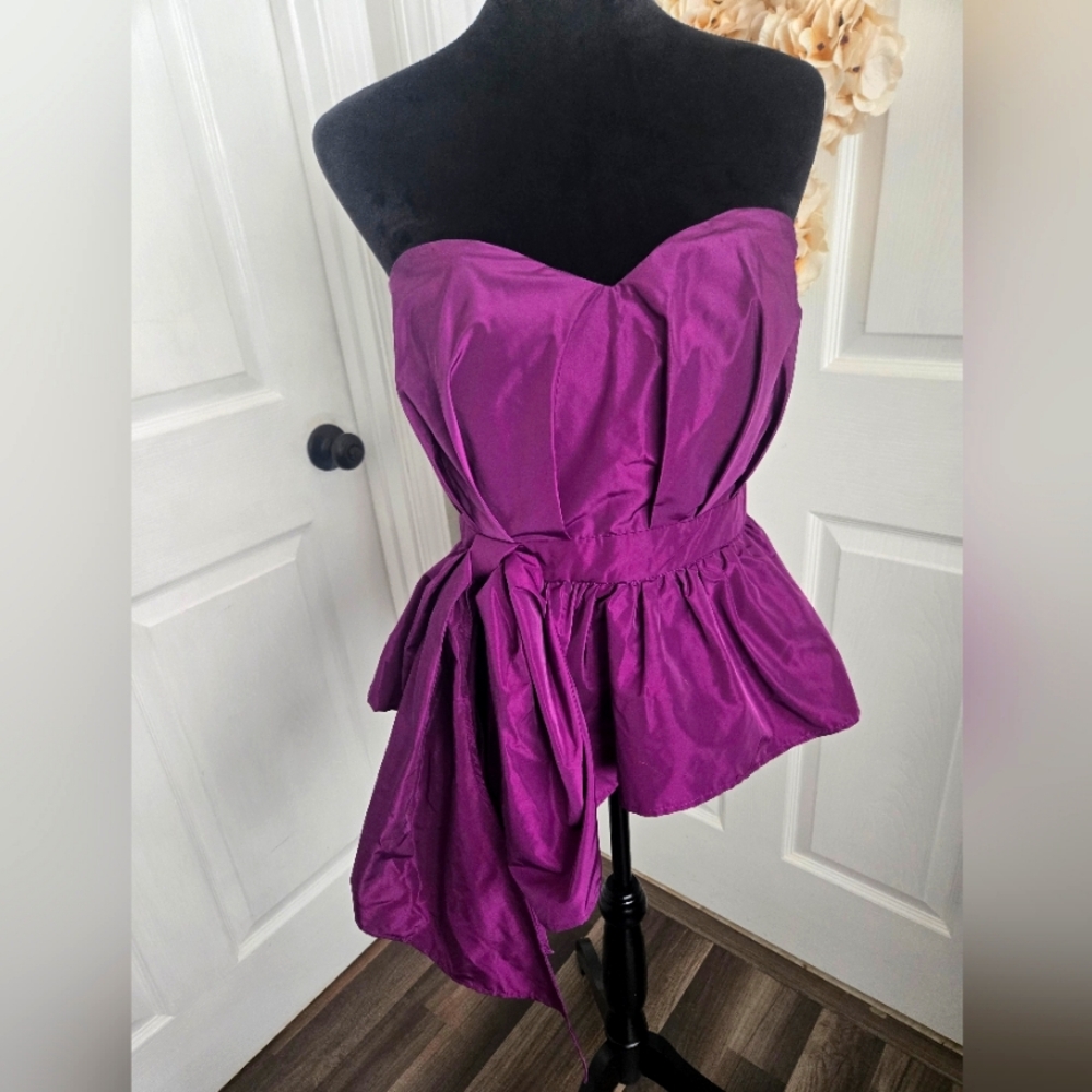 NWT Emerly Elegant Purple Bustier Top